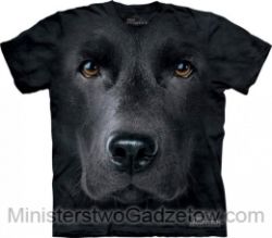 Koszulka Mountain Labrador